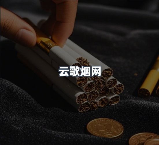 关于云歌烟网